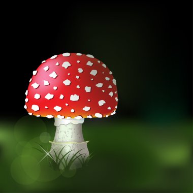 mantarı - sinek agaric.