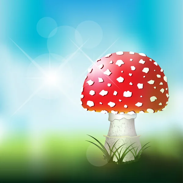 Amanita muscaria - Fliegenpilz. — Stockvektor