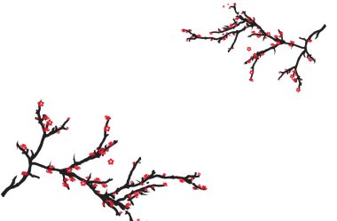 Erik çiçeği vektör resimleri, sakura ağacı. Pembe kiraz çiçeği yüksek kalite.