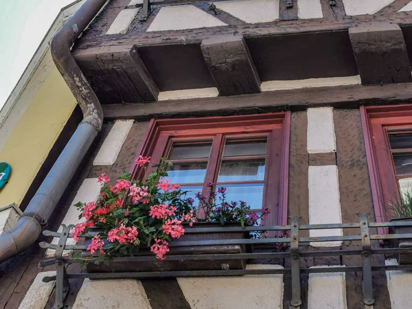 Старое Винтажное Окно Тбингене Германия Деревянный Каркас Здания Окно Клумбой — стоковое фото
