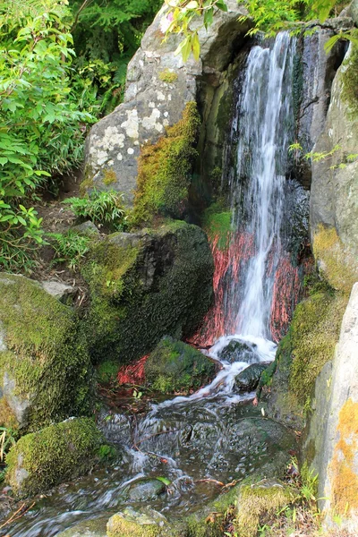 seattle bahçesinde şelale