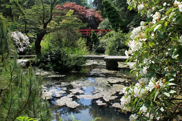 Japonská zahrada odrážející bazénu — Stock fotografie