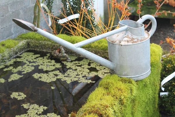 sulama olabilir ile natürmort