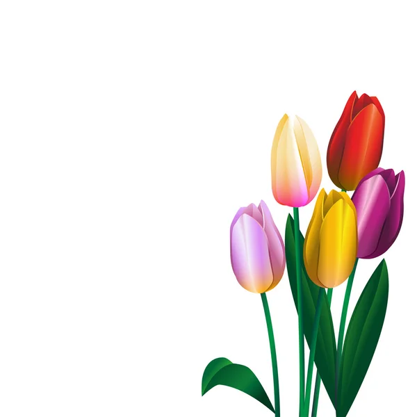 3 さまざまな色のチューリップの花束 — ストックベクタ