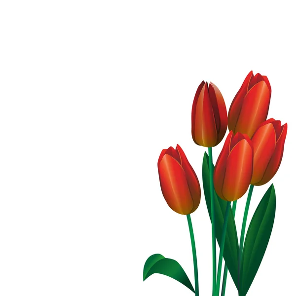 Strauß roter Tulpen 2 — Stockvektor