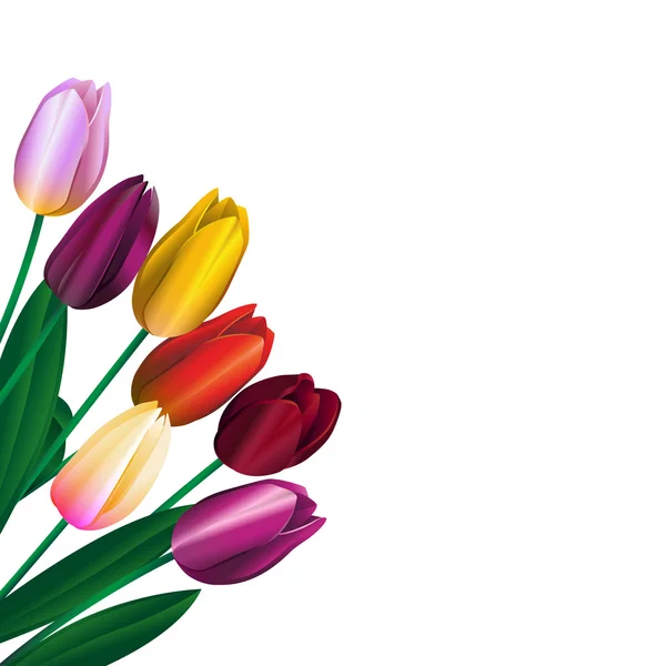 2 さまざまな色のチューリップの花束 — ストックベクタ