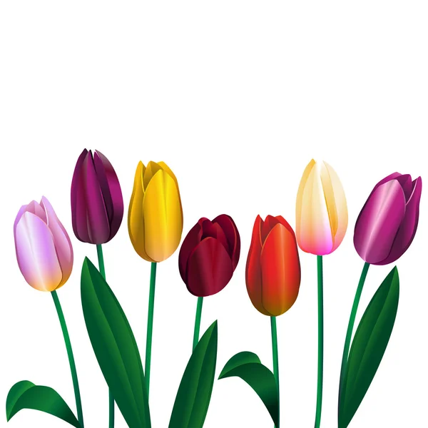 Ramo de tulipanes de diferentes colores 1 — Vector de stock