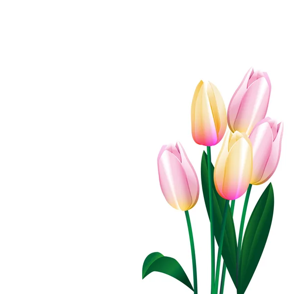 Tulipanes rosados 3 — Vector de stock