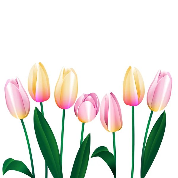 Tulipanes rosados 1 — Vector de stock
