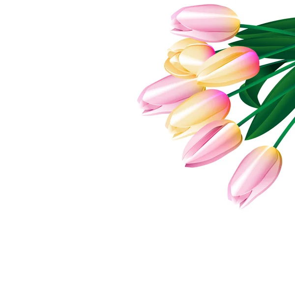 Tulipanes rosados 4 — Vector de stock