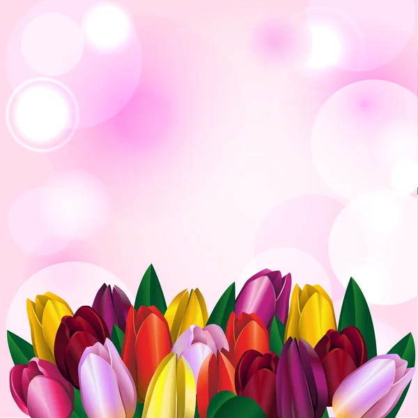 Bouquet dari tulip multicolored - Stok Vektor