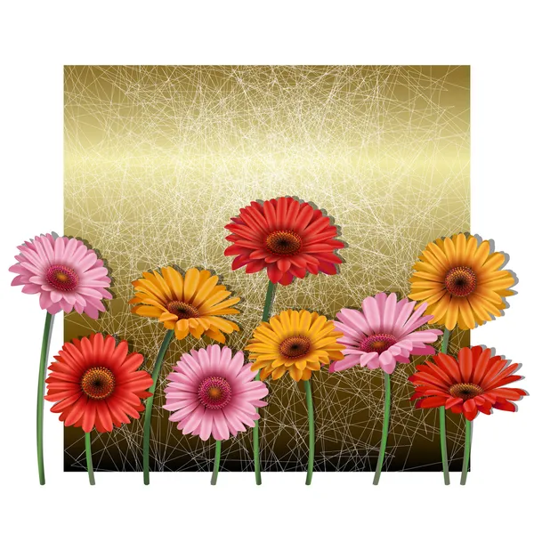 Gerbera on a gold background — Stock Vector