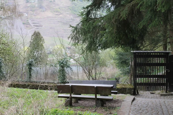 tezgah Parkı, kapı ve köknar