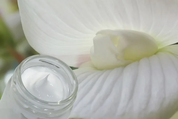 Cosmetische crème en begonia bloem — Stockfoto