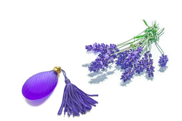 Lavendel en parfum fles — Stockfoto