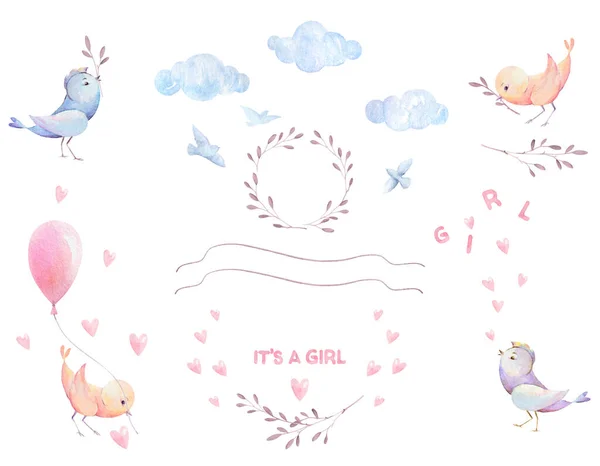 Baby Sprcha Dívka Akvarel Kliparty Ptáci Srdce Větve Stuha Balón — Stock fotografie