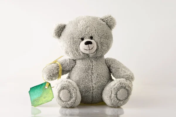 Urso com cartão Imagem De Stock