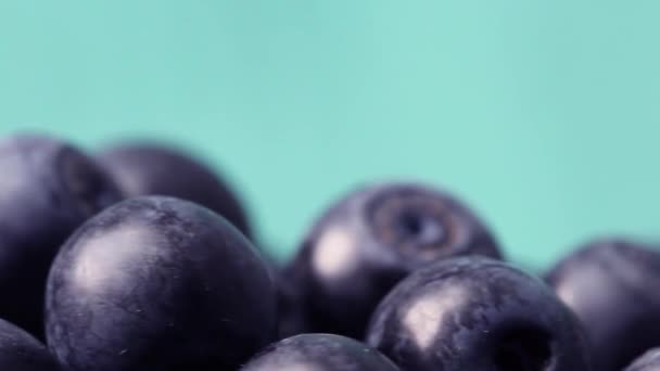 Ripe Wild Blueberries Spinning Turntable Green Background Close — Stock Video