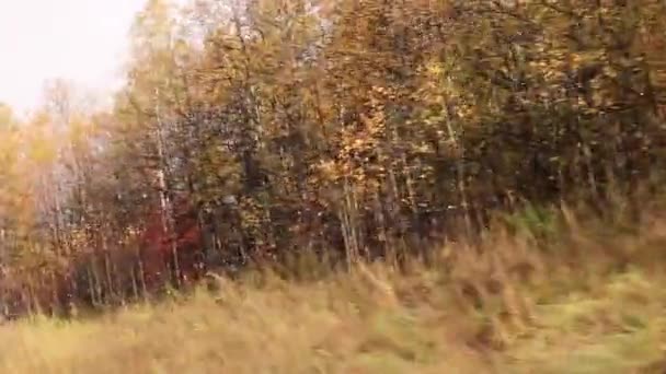 View Window Car Bus Yellow Bright Autumn Trees Fast Movement — Stock Video