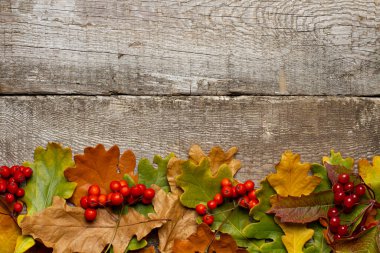 Kırsal arkaplanda parlak sonbahar yaprakları, üst görünüm, metin için yer,