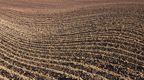 Campo Arado Com Sulcos Profundos Fundo Texturizado Bonito — Fotografia de Stock