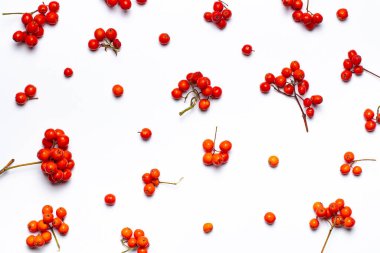 Olgun yaban mersini desenli beyaz, üst manzara