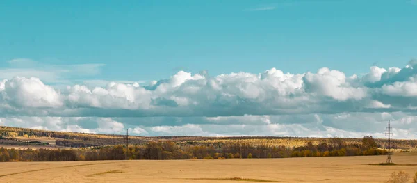 Panorama Landscape Wheat Field Beautiful Emerald Sky Bright Clouds — Stock Photo, Image