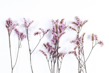 Beyaz üzerine parlak bahar çiçekleri olan dallar, üst manzara
