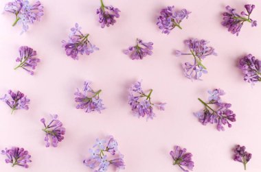 Pembe arka planda çiçekli leylak dallarının deseni, soyut arkaplan.