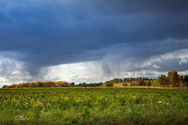 Large Field Wild Flowers Storm Cloudy Sky Early Autumn Landscape — Stock Photo, Image