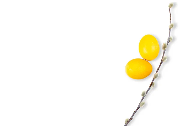 Easter Composition Minimalism Yellow Eggs Spring Tree Branch Top View — Stock Fotó