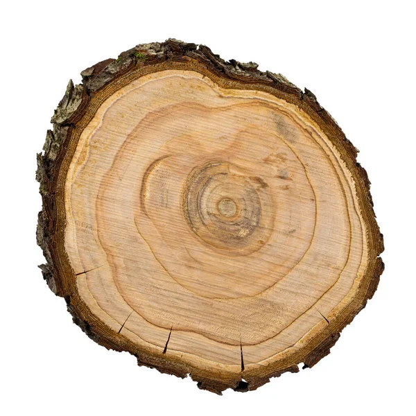 Textura Pilového Řezu Ovocný Strom Zblízka Izolované Bílém Royalty Free Stock Obrázky