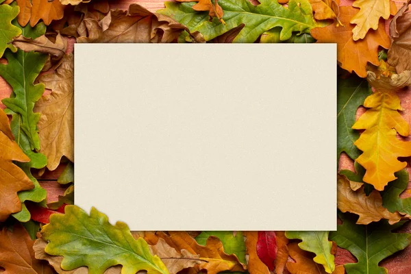 Rahmen Aus Gelben Herbstblättern Mit Beigem Feld Für Text Oder — Stockfoto