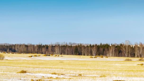 Paisaje Invernal Desde Ventana Del Coche Panorama Del Campo Bajo — Vídeo de stock