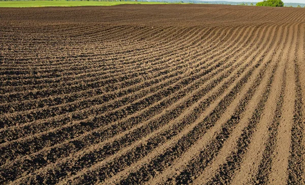 Sulcos Campo Recentemente Arado Close Paisagem Rural — Fotografia de Stock