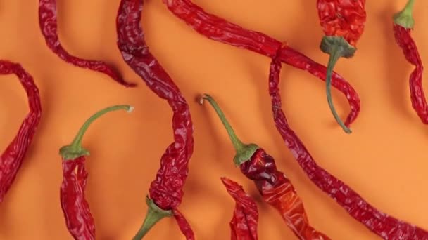 Dry Hot Chili Peppers Orange Coral Background Close Pattern Rotating — Stock Video