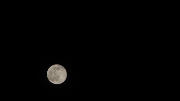 Pleine Lune Levant Sur Ciel Nocturne Fond Pour Tous Les — Video