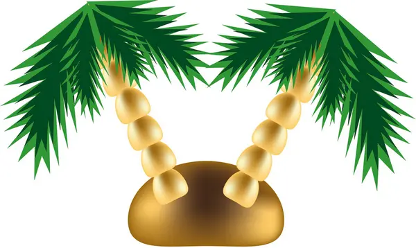 Palms — Stock Vector