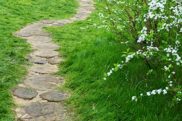 Camino Jardín Flores Adornado Fondo Natural — Foto de Stock