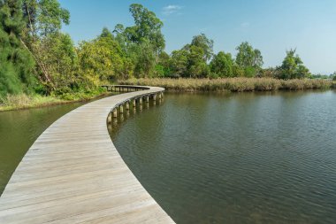 Hong Kong sulak alanındaki tahta patika.