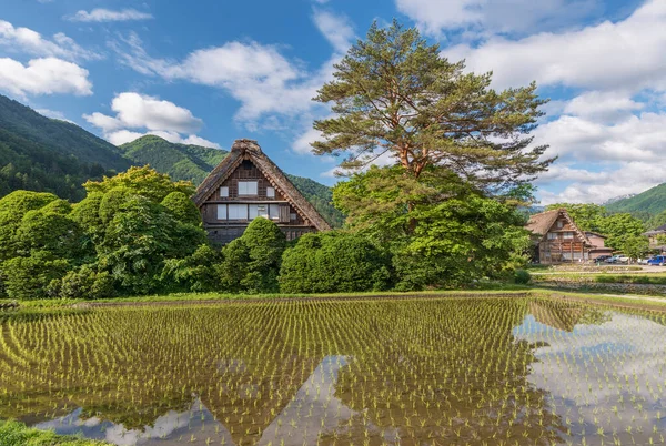 Campo Arroz Pueblo Histórico Shirakawa Shirakawa Uno Los Sitios Del — Foto de Stock