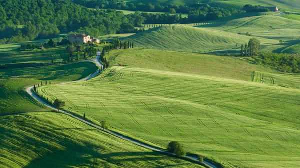 Idilli Táj Pienza Toszkána Olaszország — Stock Fotó