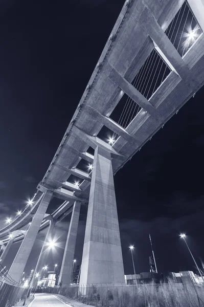 Paisaje Nocturno Carretera Elevada Puente — Foto de Stock
