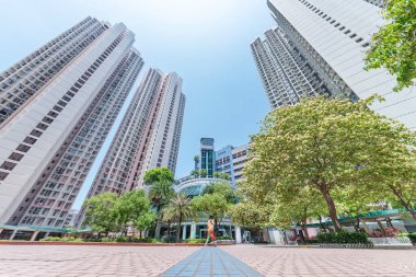 Hong Kong 'daki kamu arazisindeki ağaç ve yüksek binalar.