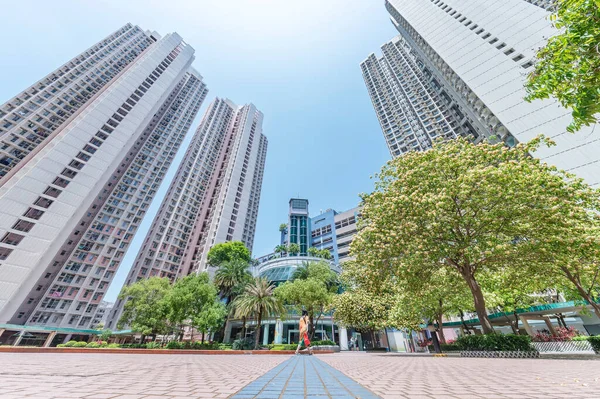 Hong Kong 'daki kamu arazisindeki ağaç ve yüksek binalar.