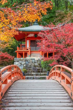 Japonya 'nın Kyoto kentindeki Daigoji Tapınağı' ndaki Japon bahçesinde sonbahar mevsiminde pavyon ve köprü.