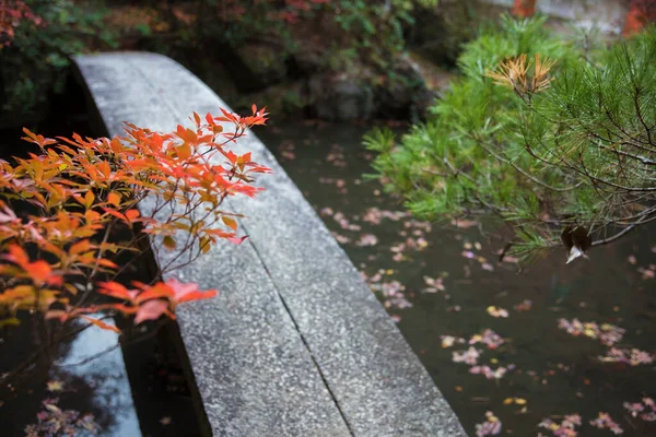 Idyllic landscape of autumn season in Japan. Oriental natural background