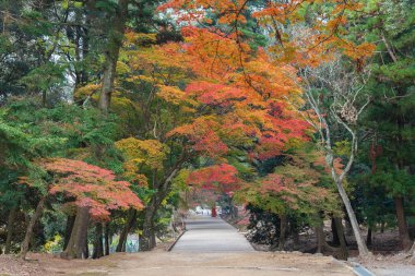 Japonya, Nara 'nın sonbahar mevsiminde Idyllic manzarası