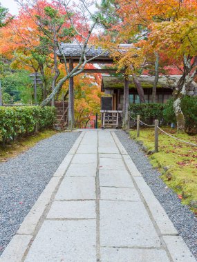 Saga Toriimoto, Arashiyama, Kyoto, Japonya 'da sonbahar mevsiminde cennet manzarası