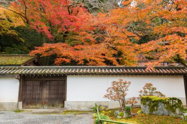 Kyoto, Japonya 'nın sonbahar mevsiminde cennet manzarası